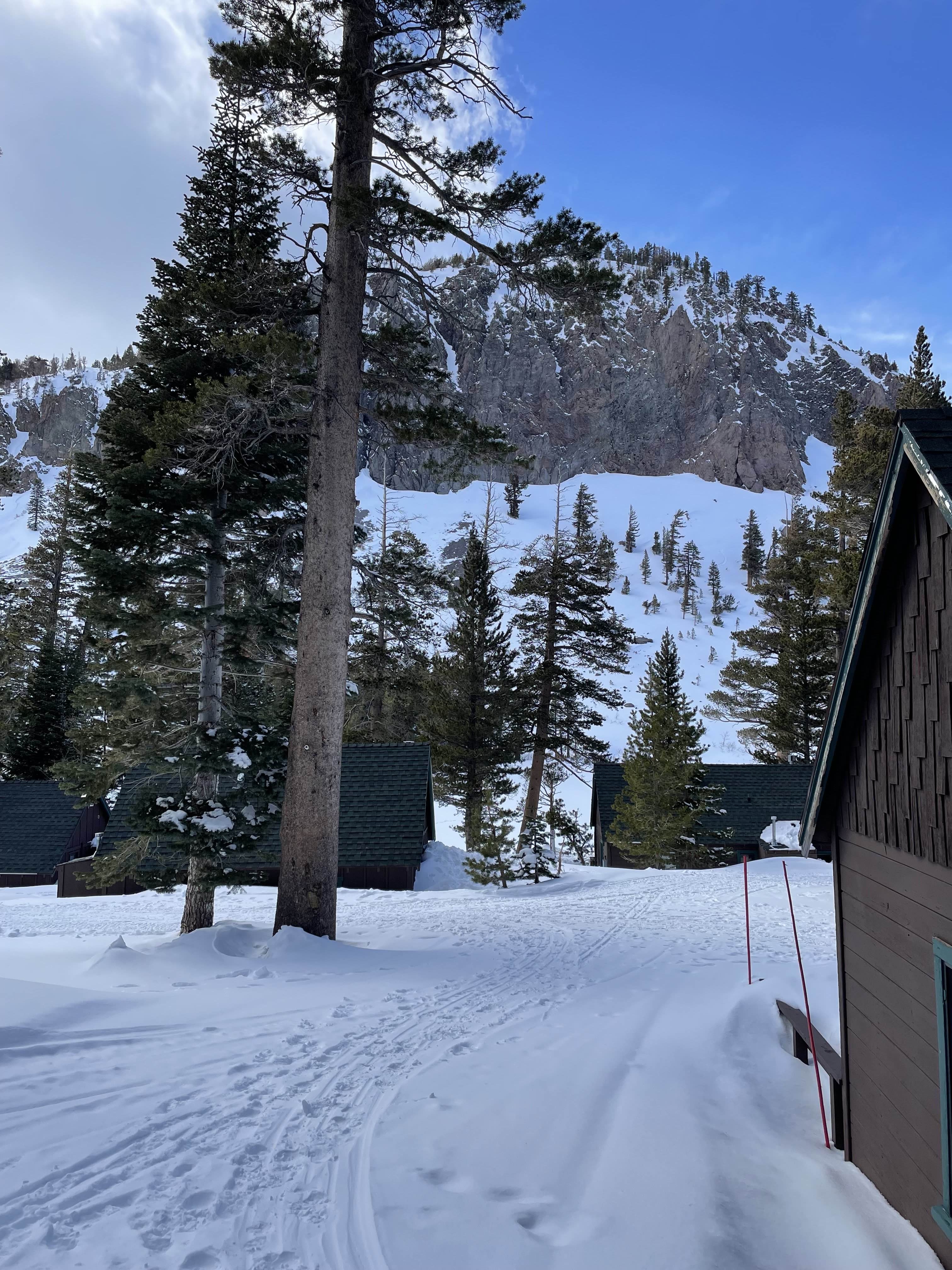 hill view from cabin